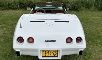 Corvette 1974 cabrio vol